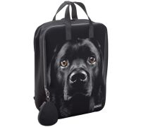 Городской рюкзак Erich Krause StreetLine 16L Black Dog 60343