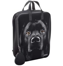 Городской рюкзак Erich Krause StreetLine 16L Black Dog 60343