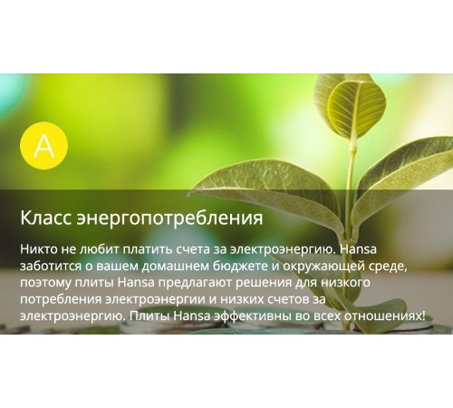 Кухонная плита Hansa FCMX58259