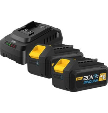Аккумулятор с зарядным устройством Deli EDL-CM20A4E 20В/2x4 Ah + 20В