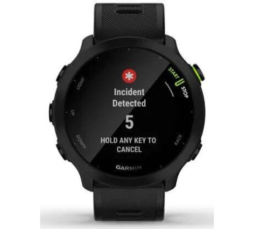 Умные часы Garmin Forerunner 55 черный