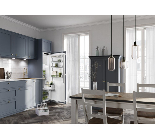 Однокамерный холодильник Liebherr IRDe 5121 Plus