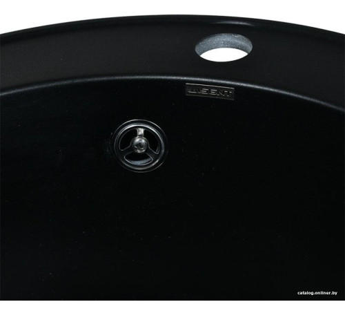 Кухонная мойка Wisent 480-26WR с сифоном GER013