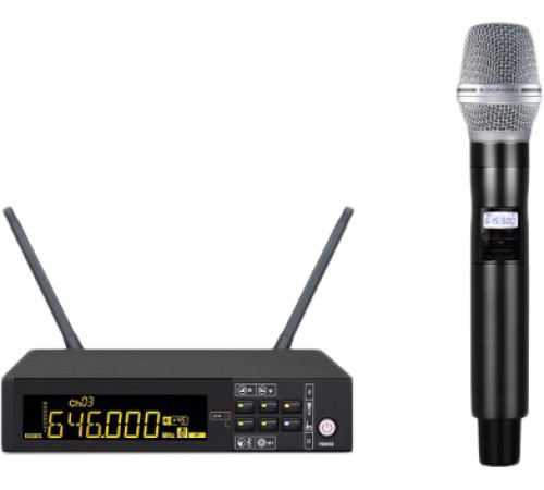 Радиосистема Biema DG-100