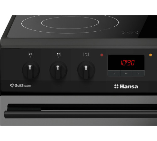 Кухонная плита Hansa FCCM69225H