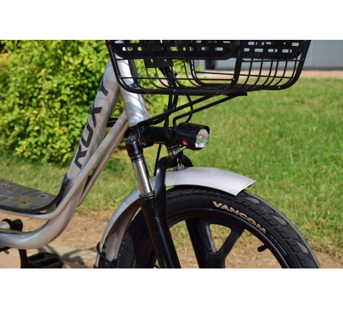 Электровелосипед Terax ROXY NS010