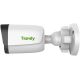 IP-камера Tiandy TC-C36QN 2ENA-28