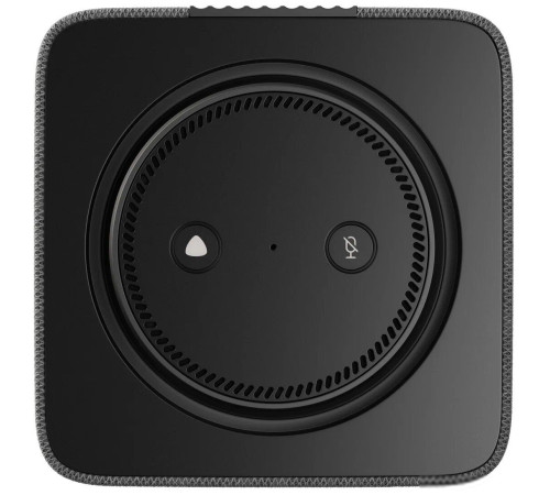 Умная колонка Яндекс Станция Макс с хабом умного дома Zigbee, графит