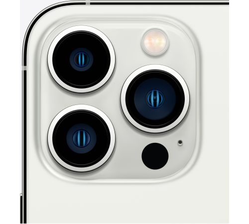 Телефон Apple iPhone 13 Pro 256GB серебристый