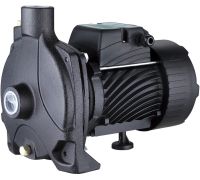 Центробежный насос Pumpman TCP158