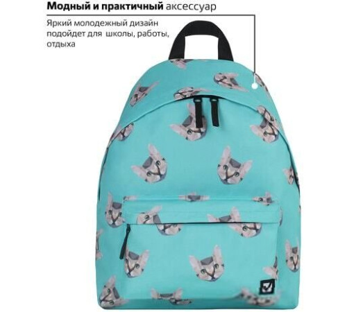 Городской рюкзак BRAUBERG Cats 229881