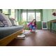 Паровая швабра Karcher SC 1 Upright 1.513-560.0