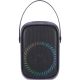 Беспроводная колонка Aiwa PAS-Y600