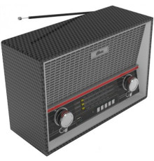 Радиоприемник Ritmix RPR-102 карбон