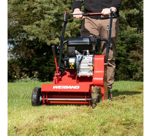 Скарификатор Weibang WB 384RB