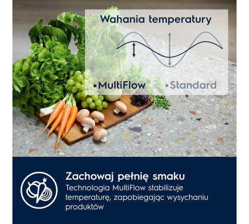 Холодильник Electrolux TwinTech 600 E6MNCE19S