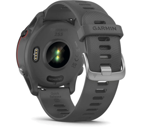 Умные часы Garmin Forerunner 255 сланцево-серый/черный