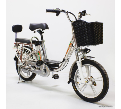 Электровелосипед GreenCamel Транк-18 V2 R18 250W 60V 20Ah