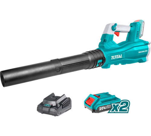 Ручная воздуходувка Total TABLI204282 с 2-мя АКБ