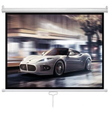 Проекционный экран Future Vision Business 300 300x218 W300WMW