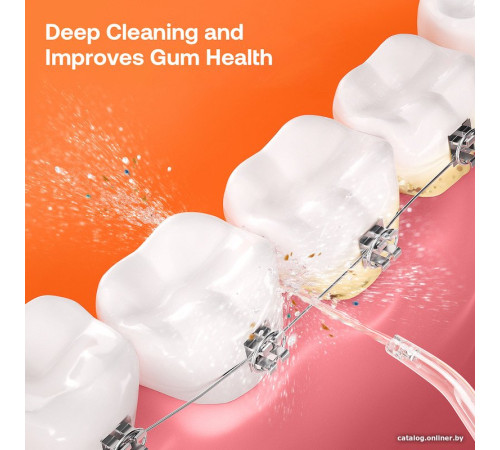 Ирригатор  Bitvae C2 черный