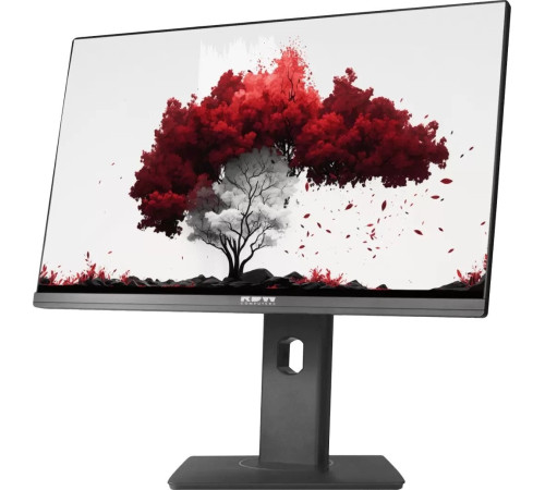 Монитор RDW Computers RDW2402K/F00B3