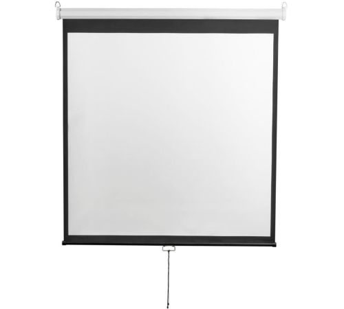 Проекционный экран Digis Optimal-D 308x310 DSOD-1108
