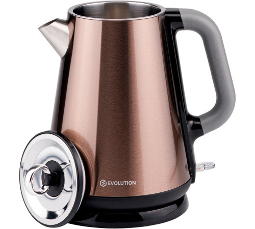 Электрический чайник Evolution KP17153 Steel