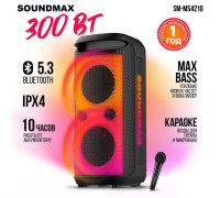 Патибокс Soundmax SM-MS4210