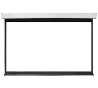 Проекционный экран Future Vision Video Electric 240x180 E240VMW