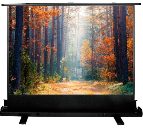 Проекционный экран CACTUS FloorExpert 150x200 CS-PSFLE-200X150
