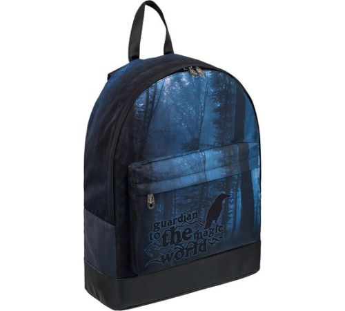 Школьный рюкзак Erich Krause StreetLine 17L Dark Forest