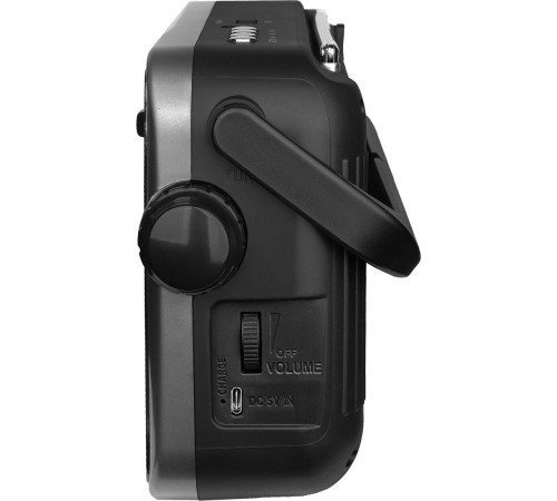 Радиоприемник Ritmix RPR-320