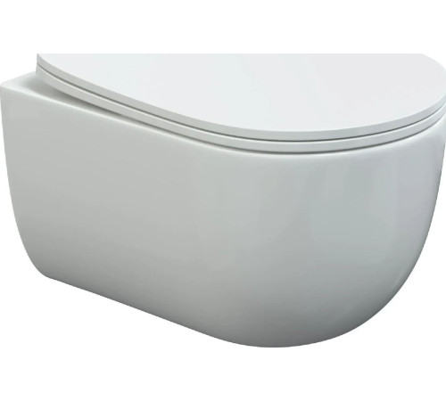 Унитаз подвесной Berges Wasserhaus Ventas Rimless + Visam Slim 525 EX-043240 с сиденьем