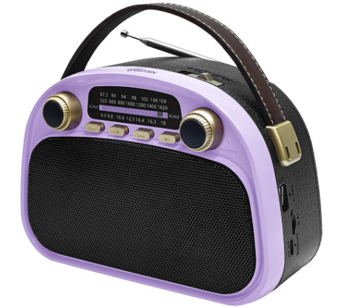 Радиоприемник Ritmix RPR-040 лавандовый