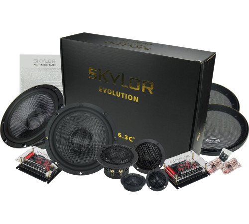 Компонентная АС Skylor EVO6.3C