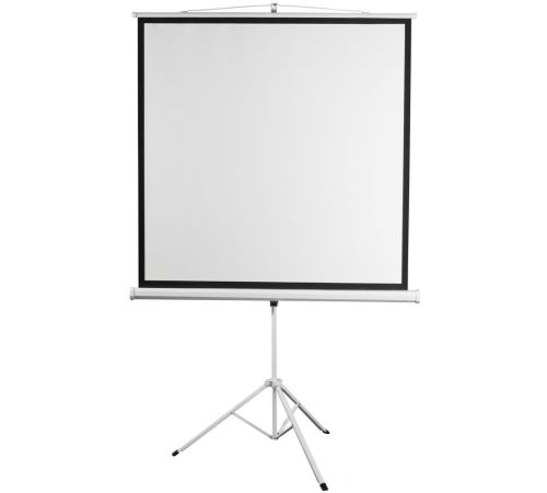 Проекционный экран Digis Kontur-D 248x250 DSKD-1108