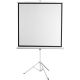 Проекционный экран Digis Kontur-D 248x250 DSKD-1108