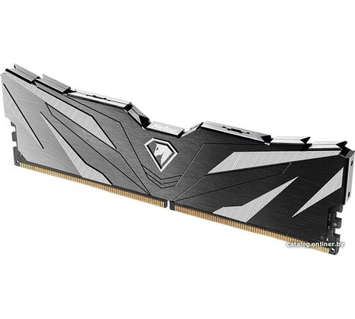 Оперативная память Netac Shadow II 16ГБ DDR5 6000 МГц NTSWD5P60SP-16K