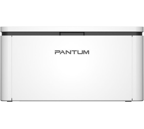 Принтер Pantum BP2300W