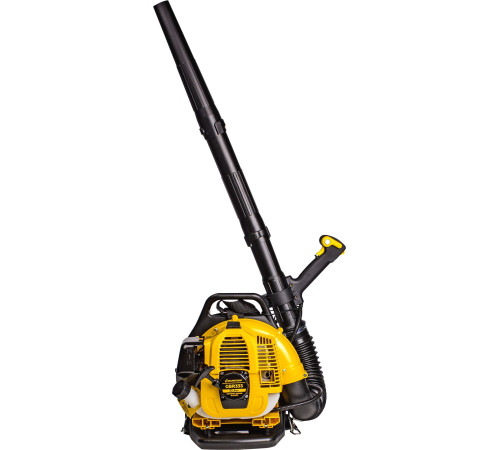 Воздуходувка Champion GBR333