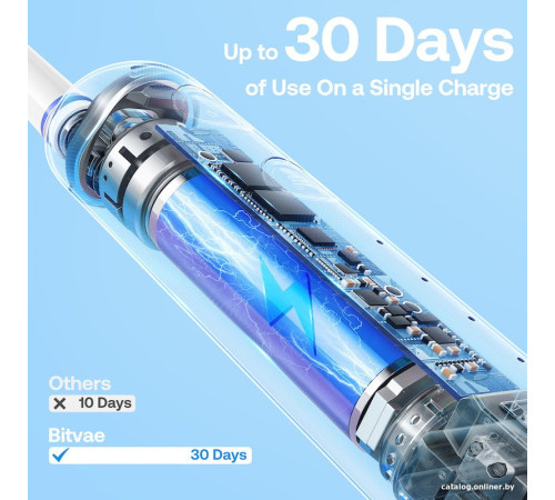 Электрическая зубная щетка Bitvae R2 белый