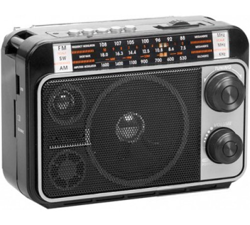 Радиоприемник Ritmix RPR-171