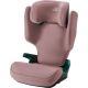Детское автокресло Britax Romer Discovery Plus 2 dusty rose