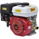 Бензиновый двигатель Skiper N170FSFT