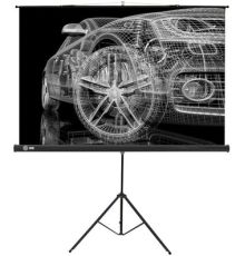 Проекционный экран CACTUS Triscreen CS-PST-124x221