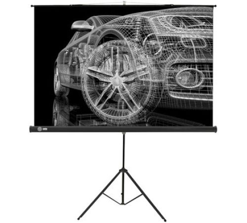 Проекционный экран CACTUS Triscreen CS-PST-124x221