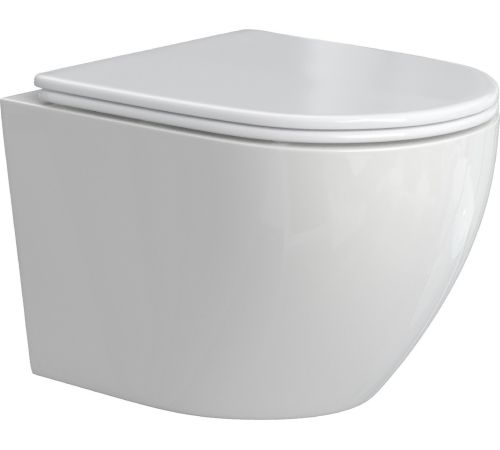 Унитаз подвесной Berges Wasserhaus Okus Rimless + Visam Slim 525 EX-043391 с сиденьем