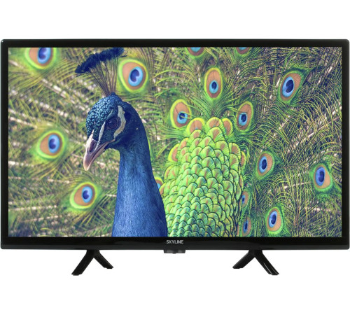 Телевизор Skyline 24YST5970