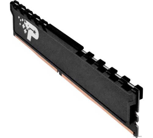 Оперативная память Patriot Signature Premium Line 8ГБ DDR4 3200 МГц PSP48G3200H1